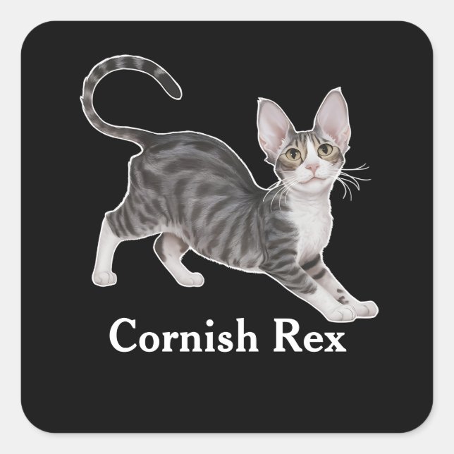 Sticker Carré Cornish Rex (Devant)