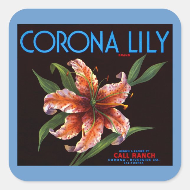 Sticker Carré Corona Lily (Devant)