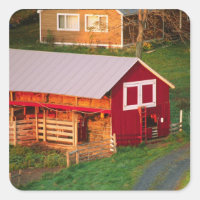 Corvées matinales à la ferme. USA, Vermont,
