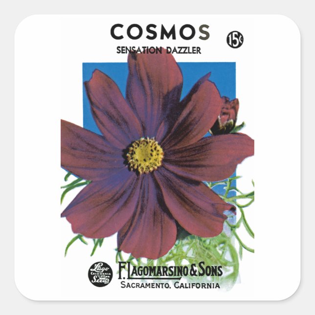 Sticker Carré Cosmos (Devant)
