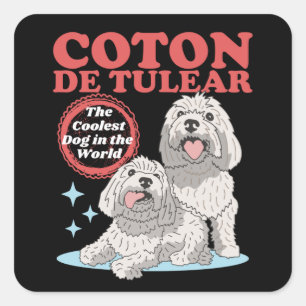 Sticker Carré Coton de Tulear Coolest Chien   Coton de Tulears