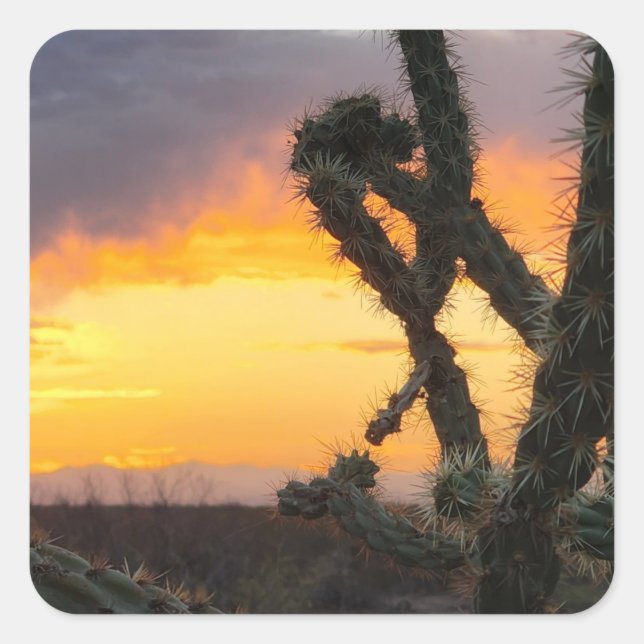 Sticker Carré Coucher de soleil de Cactus du désert (Devant)