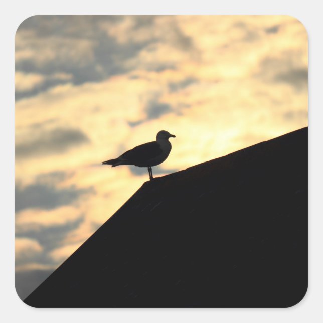 Sticker Carré Coucher de soleil de Sea Gull (Devant)