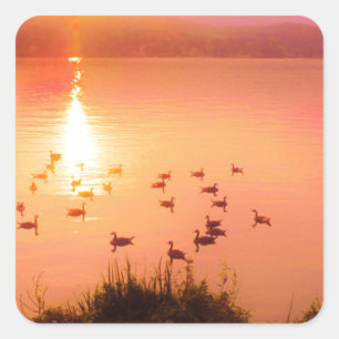 Sticker Carré Coucher de soleil rose et de lac de pêche