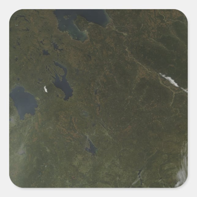 Sticker Carré Couleurs d'automne dans le nord-ouest de la Russie (Devant)