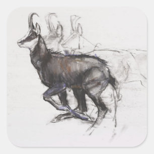 Sticker Carré Coureur Chamois