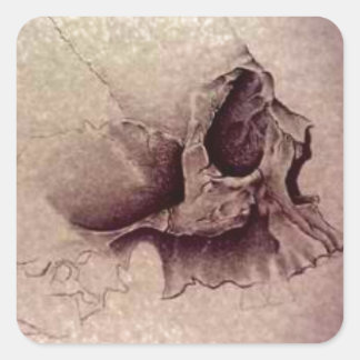 Sticker Carré crâne