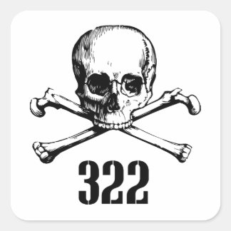 Sticker Carré Crâne et os 322
