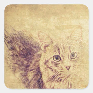 Sticker Carré Crayon amoureux des chats mignon croquis gris tabb