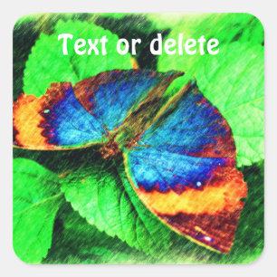 Sticker Carré Crayon Papillon Bleu Art personnalisé