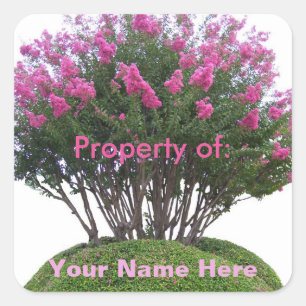 Sticker Carré Crepe Myrtle Mound - Propriété de :
