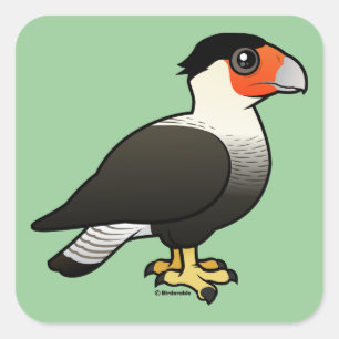 Sticker Carré Crested Caracara