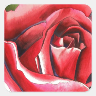 Sticker Carré Crimson Red Rose Original watercolor art