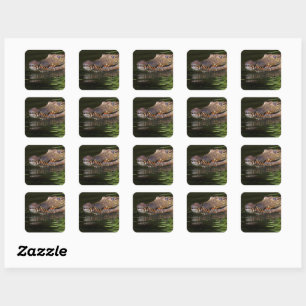 Sticker Carré Crocodile