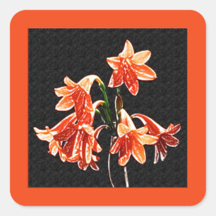 Sticker Carré Croquis de Daylilies - Mandarin orange et rouille