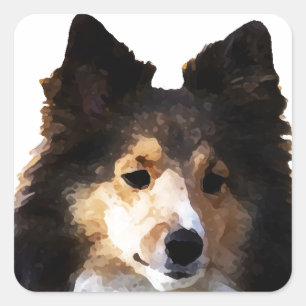 Sticker Carré Croquis de peinture Sheltie Dog