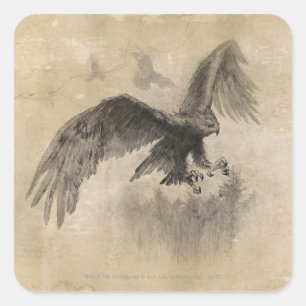 Sticker Carré Croquis Great Eagles