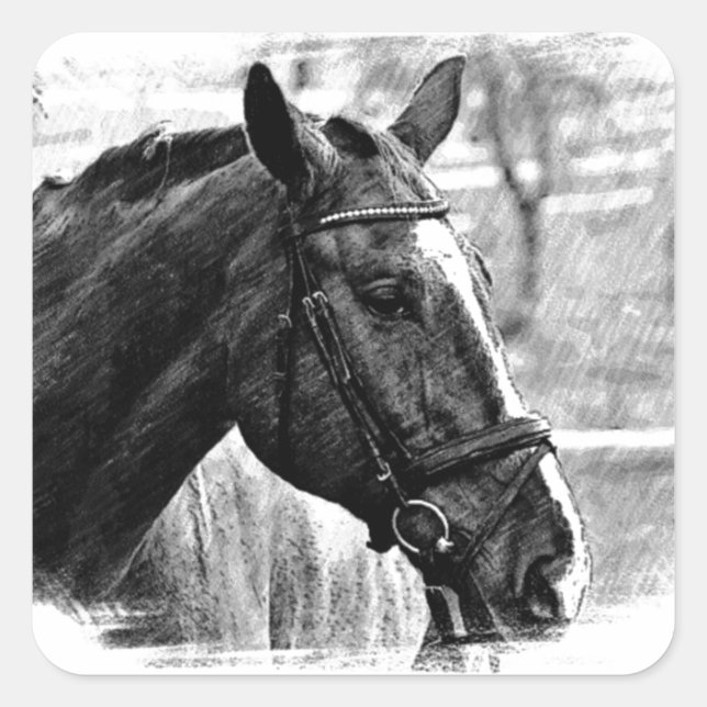 Sticker Carré Croquis noir blanc (Devant)