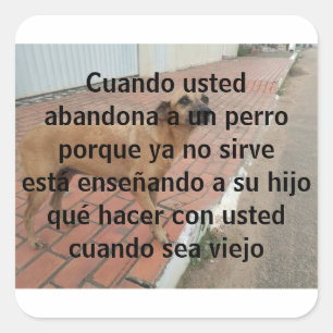 Sticker Carré cuando chassé abandona un perro