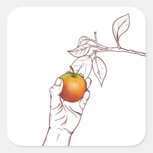 Sticker Carré cueillir une pomme