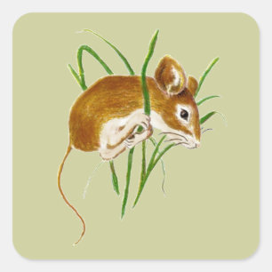 Sticker Carré Cuire, Souris Aquarelle Animal Nature