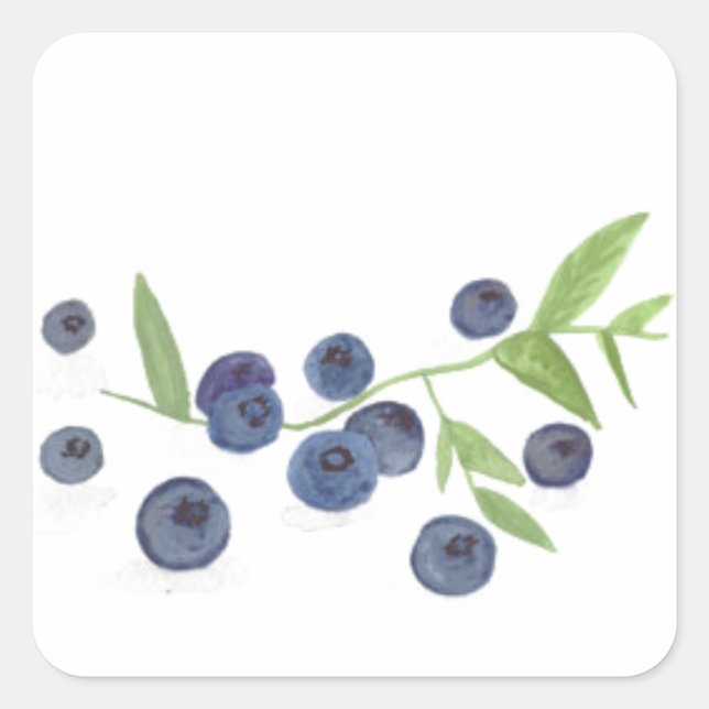 Sticker Carré Cuisine de fruits Blueberries aquarelle baies chic (Devant)
