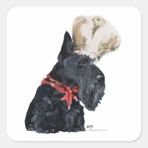 Sticker Carré Cuisinier Terrier Écossais