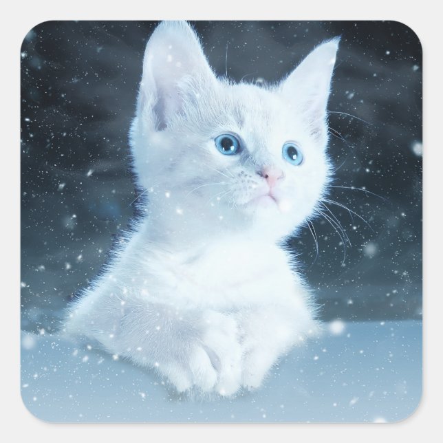 Sticker Carré Cuite Kitten blanc avec de beaux yeux bleus (Devant)