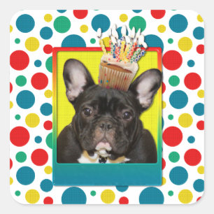 Sticker Carré Cupcake d'anniversaire - Chien de taureaux françai