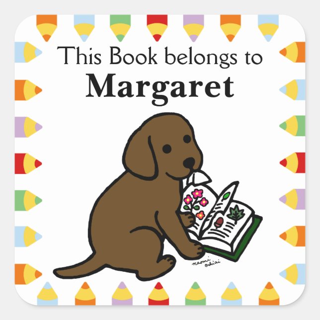 Sticker Carré Curieux Chiot Labrador Chocolat (Devant)