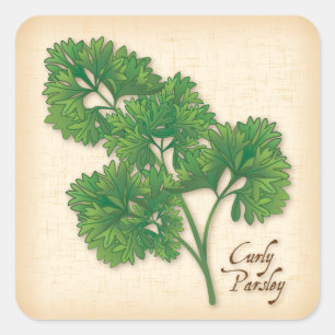 Sticker Carré Curly Parsley