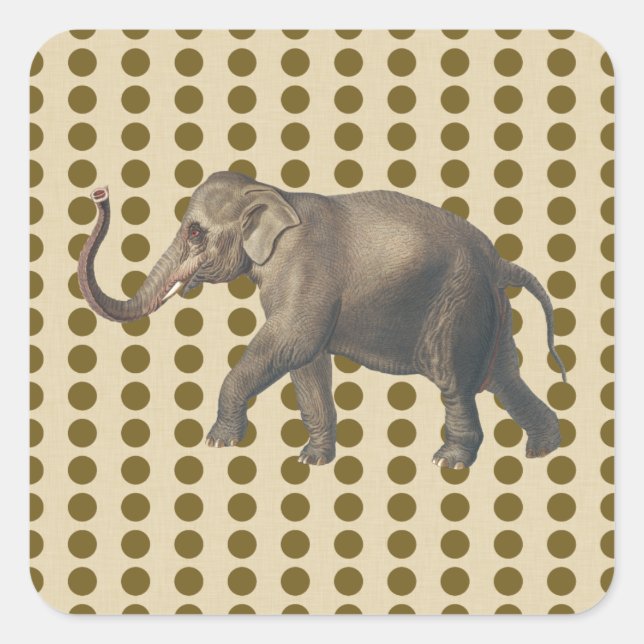 Sticker Carré Curry Spice Moods Doses avec éléphant (Devant)