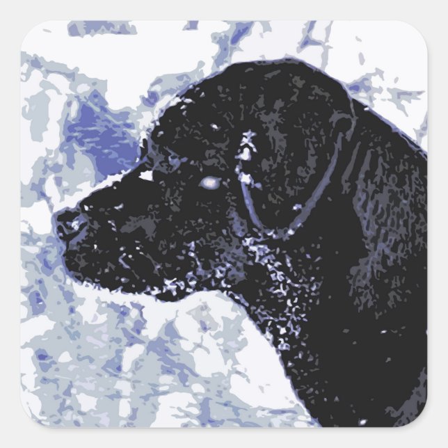 Sticker Carré Cute Black Lab Labrador Retriever Chien (Devant)