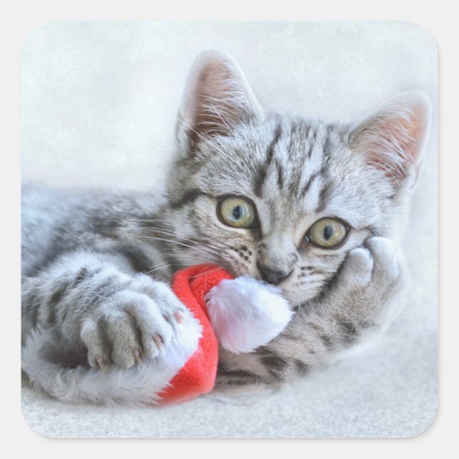 Sticker Carré Cute Cat et Santa Claus Hat (Devant)