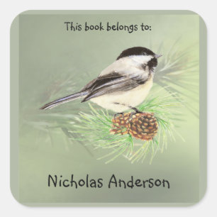 Sticker Carré Cute Chickadee Bird & Pine Nature Art Boite