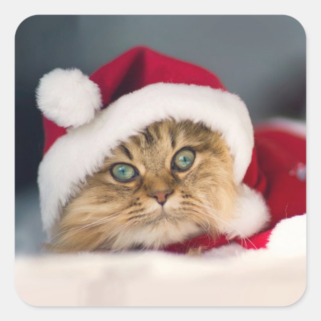 Sticker Carré Cute Christmas (Devant)