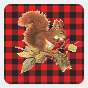 Sticker Carré Cute écureuil rouge noir Buffalo Check Plaid