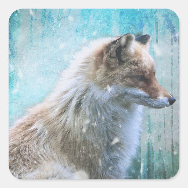 Sticker Carré Cute Furry Fox sur Blue Grunge Arrière - plan (Devant)