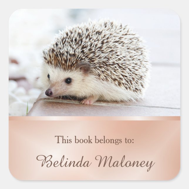 Sticker Carré Cute Hedgehog Photo Rose Gold Book School (Devant)