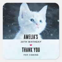 Cute Kitten blanc avec Joli yeux bleu Anniversaire