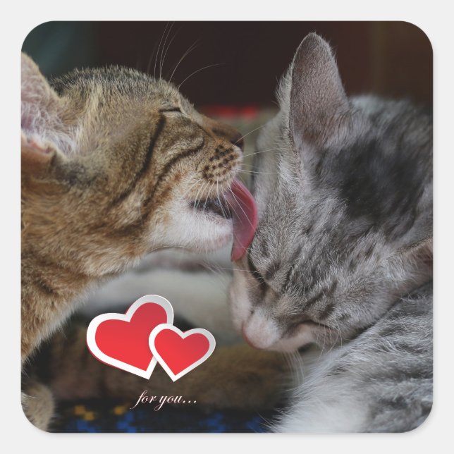 Sticker Carré Cute kittens (Devant)