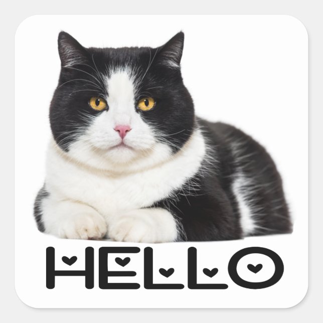 Sticker Carré Cute Kitty Noir Blanc Kitten Hello Chat (Devant)