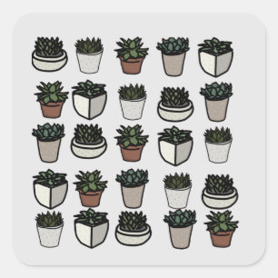 Sticker Carré Cute mini motif succulent