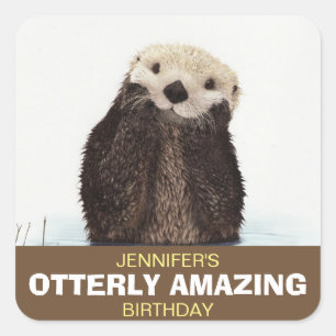 Sticker Carré Cute Otter Faune Image Otterly Extraordinaire Anni