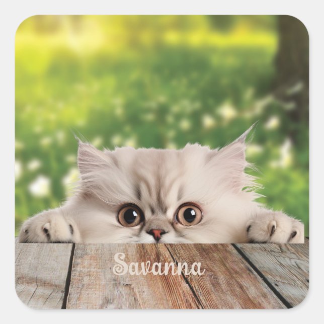 Sticker Carré Cute Perse Peeking Chat (Devant)