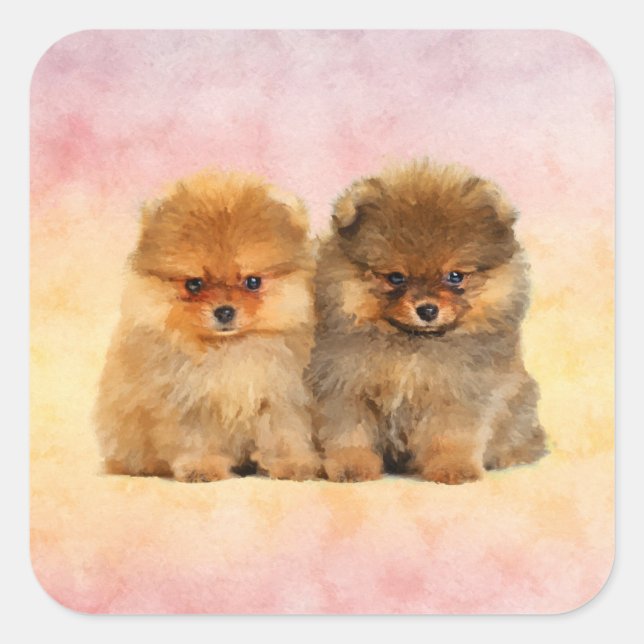 Sticker Carré Cute Pomeranian Allemand Spitz Puppies (Devant)