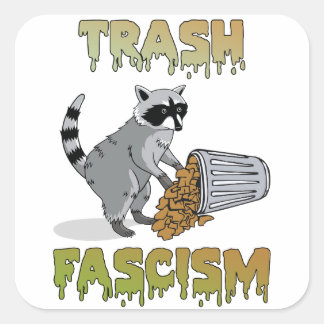 Sticker Carré Cute Retro Raccoon - Trash Fascisme