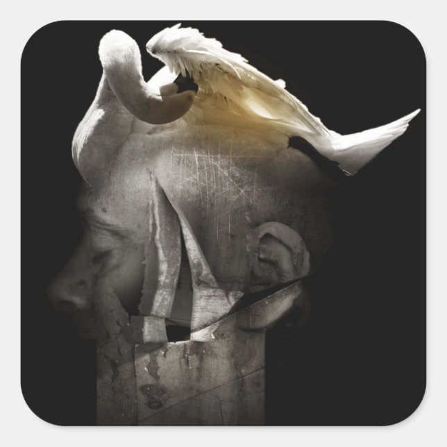 Sticker Carré Cygne 2013 (Devant)