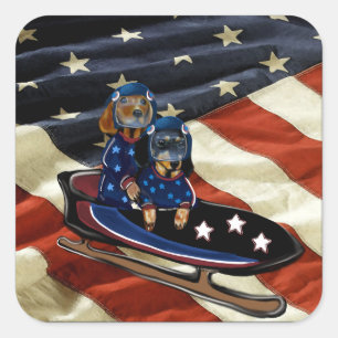 STICKER CARRÉ DACHSHUND 