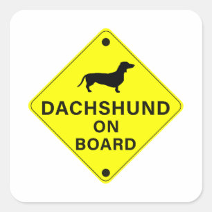 Sticker Carré Dachshund à bord Funny Dog Bumper